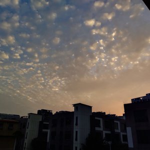 老外大鸡吧操美女
