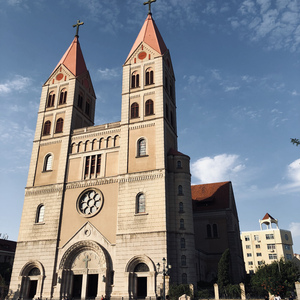 老外大鸡吧操美女
