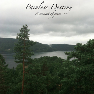 老外大鸡吧操美女
