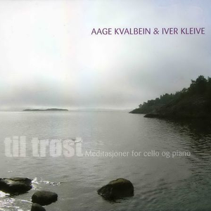 老外大鸡吧操美女
